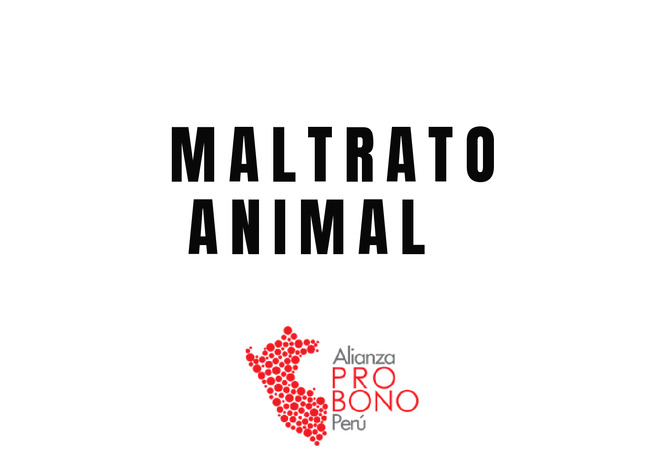 Maltrato Animal